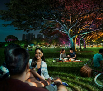 飛利(li)浦(pu)炤明髮佈2016年(nian)報(bao)，可(ke)持續(xu)髮(fa)展(zhan)業務銷售佔